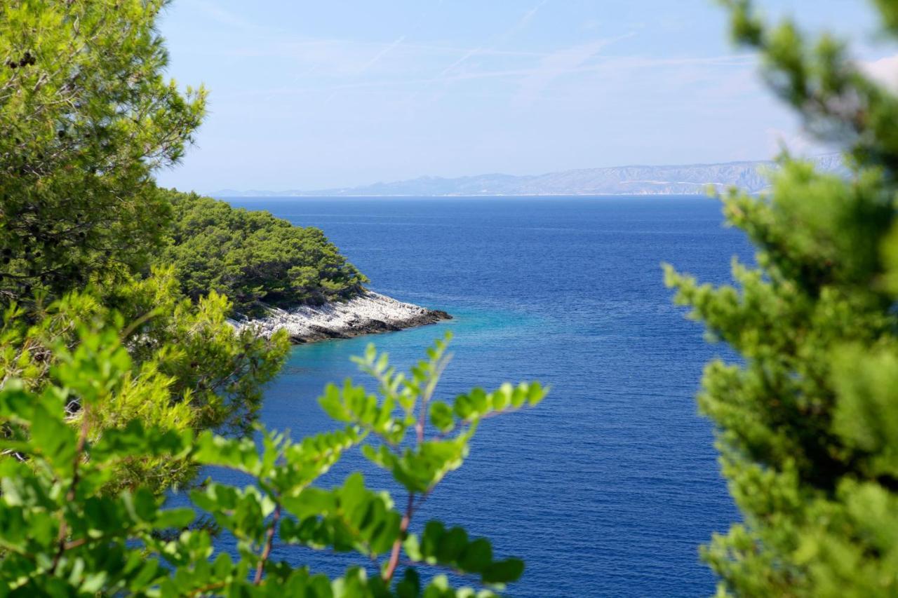 Unique Seaside Villa With Pool Vela Luka Zewnętrze zdjęcie